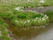 01 lago fiorito